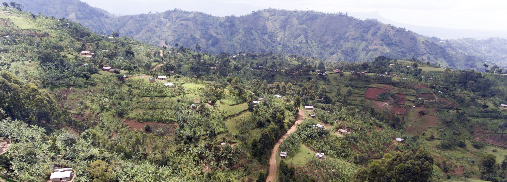 Drone footage of coffee in Uganda © Giuseppe Cipriani for UTZ