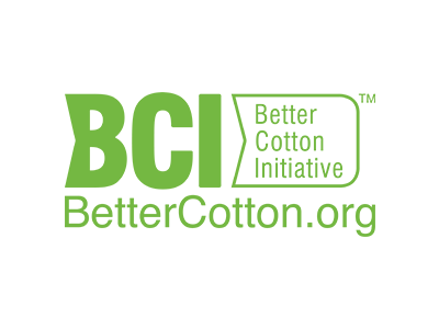 BCI Logo