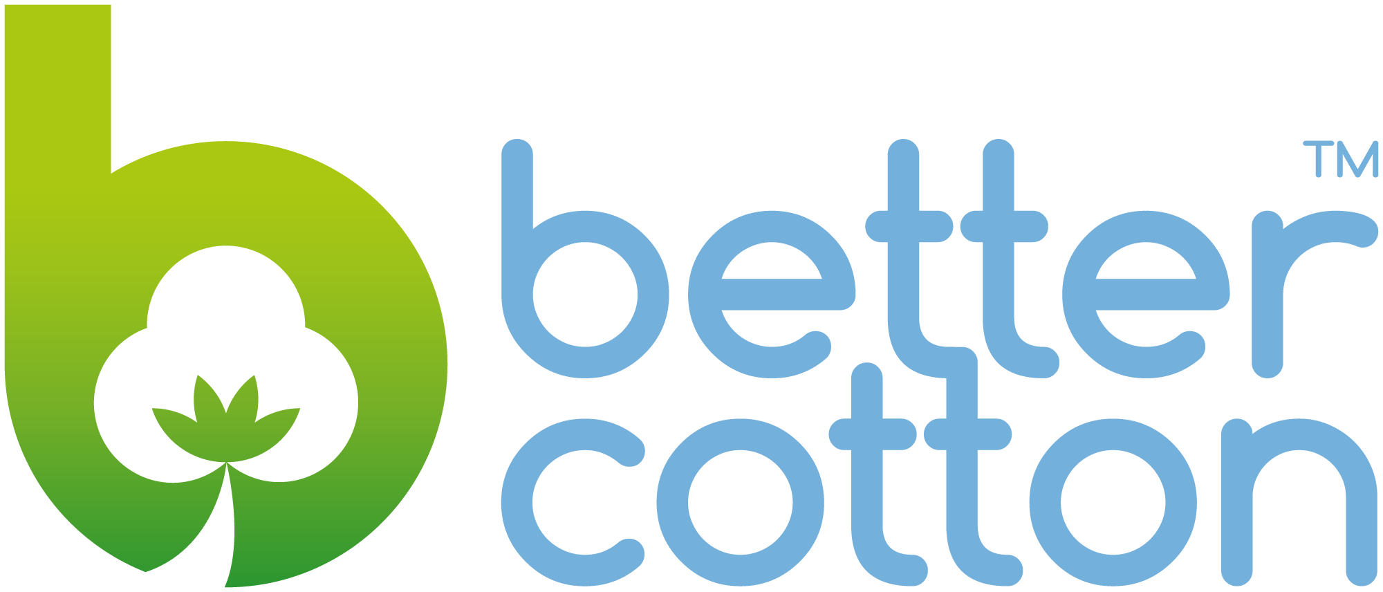 BCI Logo