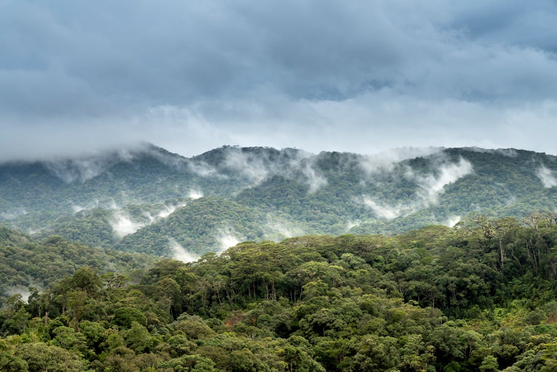 Mountains
