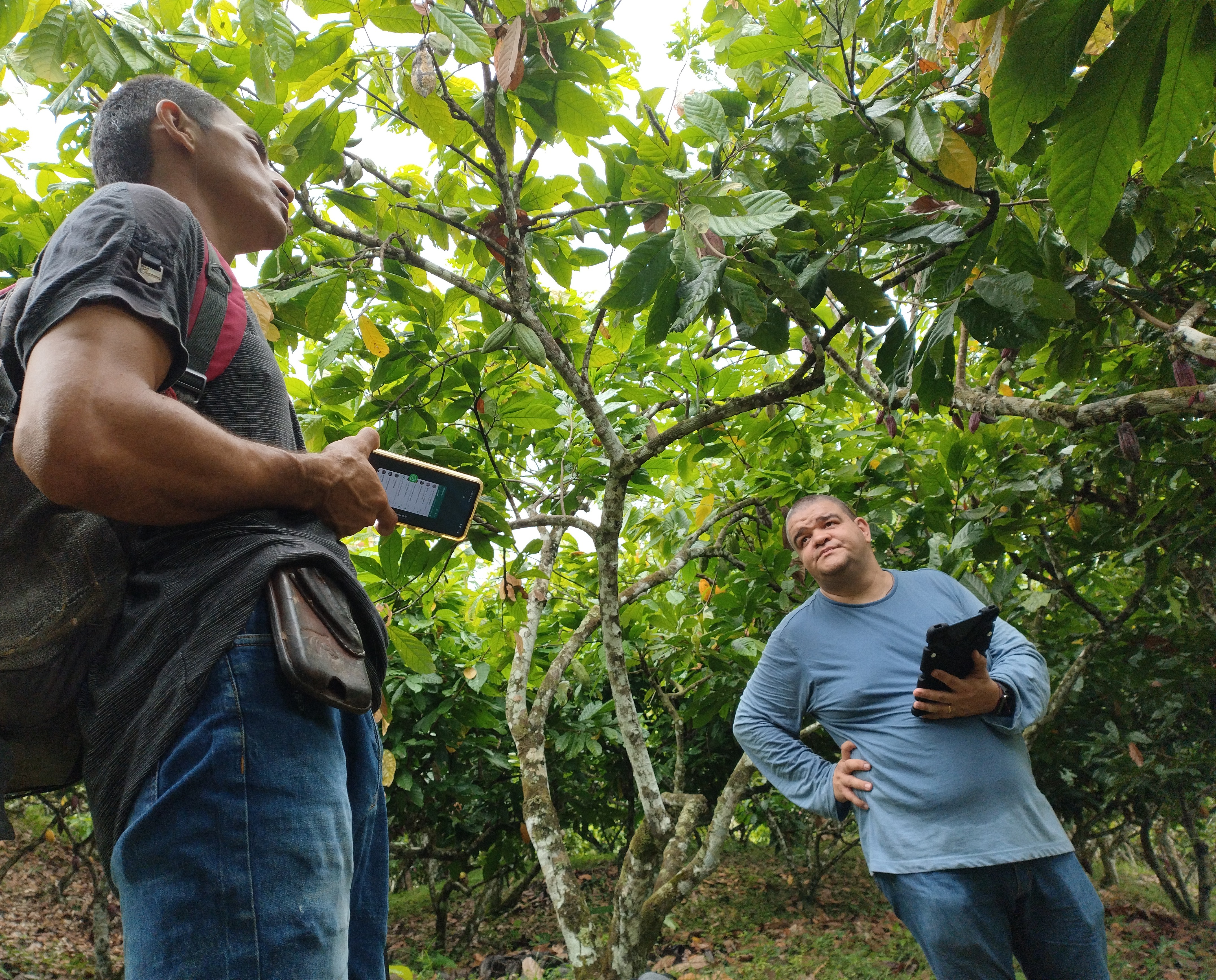 Two project team members stand under a low, green canopy of trees