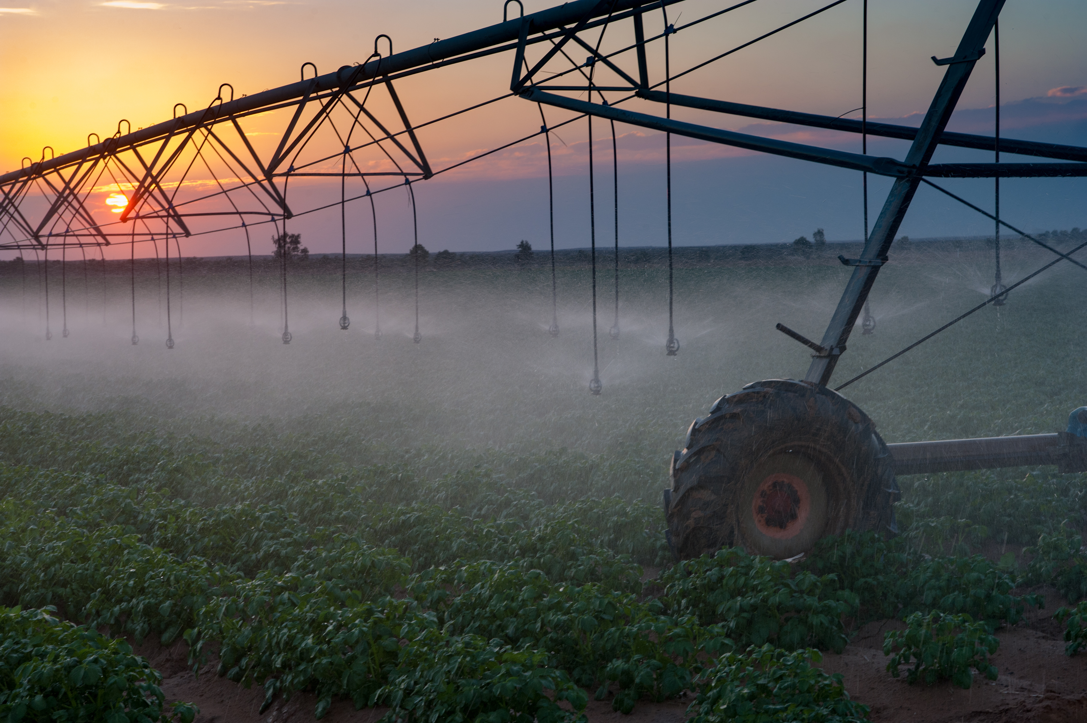 Agricultural field at sunset with mist and infrastructure
