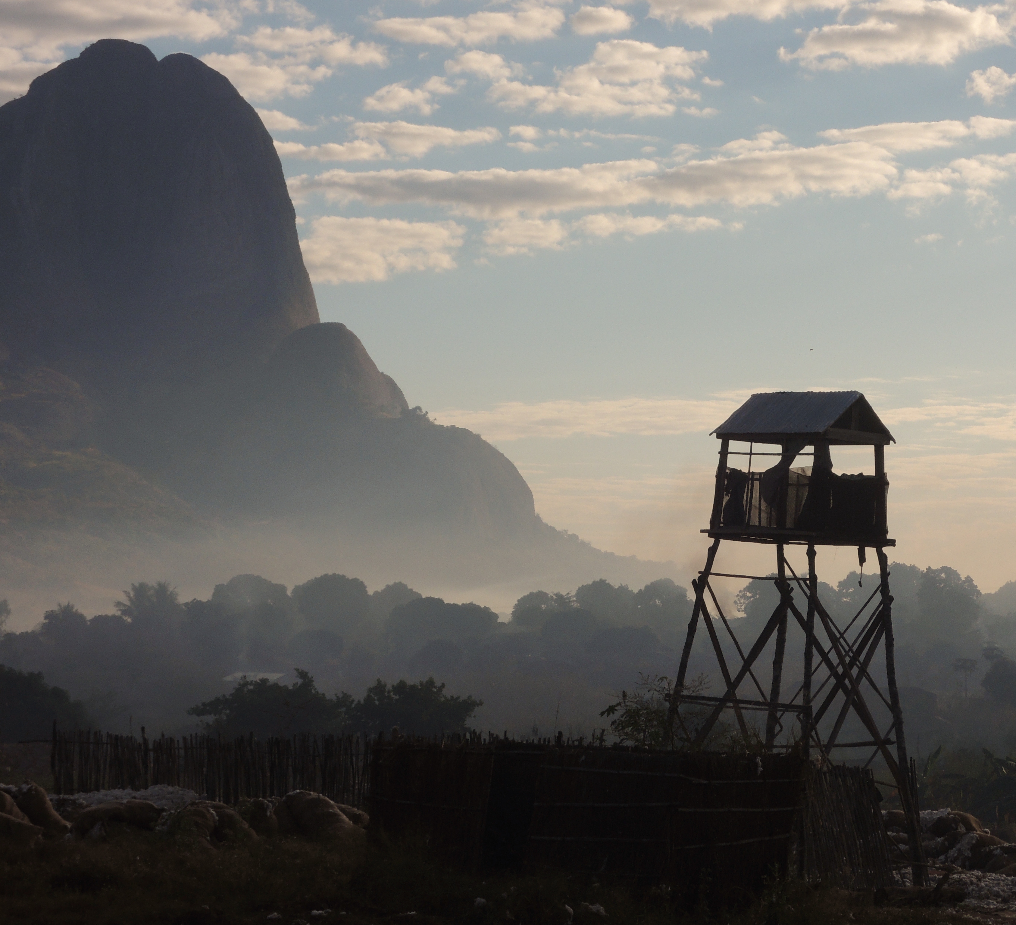 Cotton field with water tower against a mountain backdrop in silhouette
