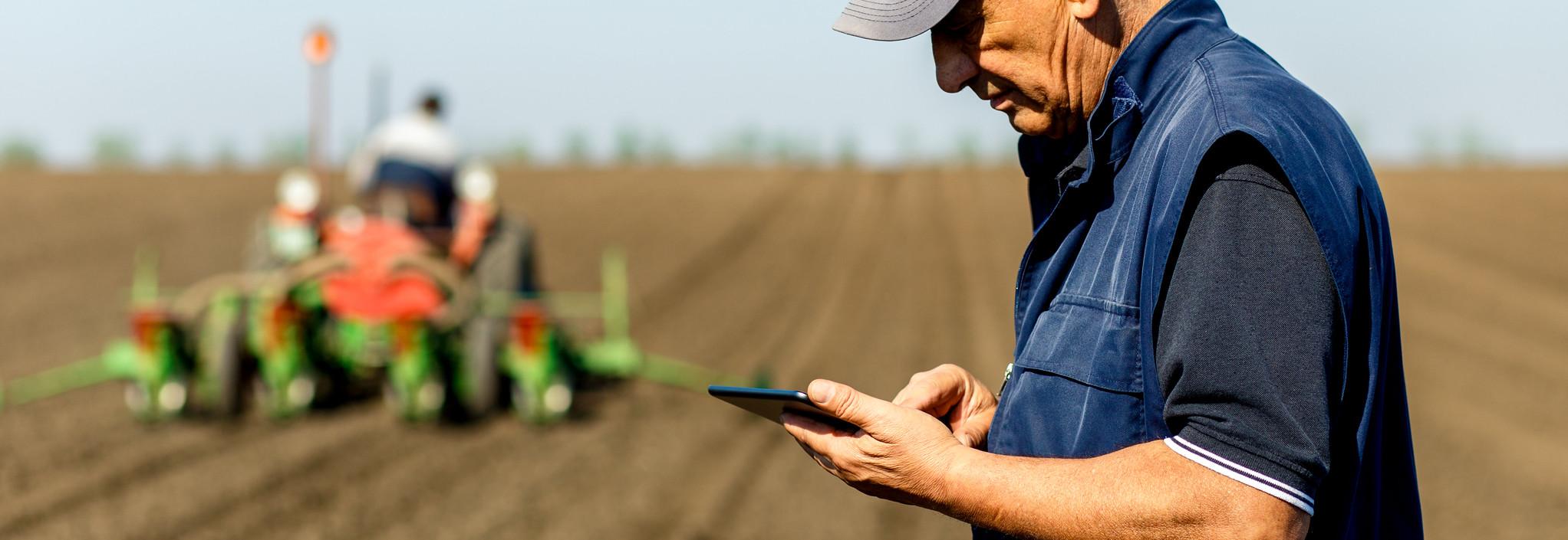 agriculture land