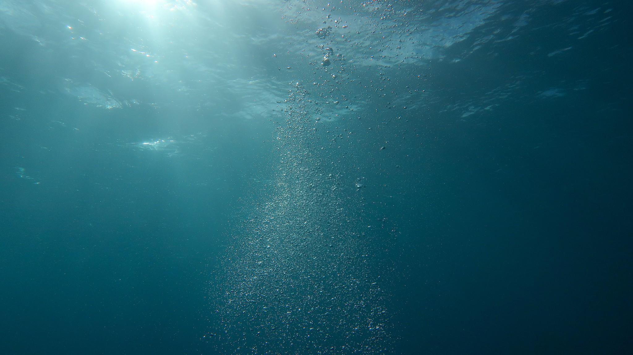 under the ocean view 