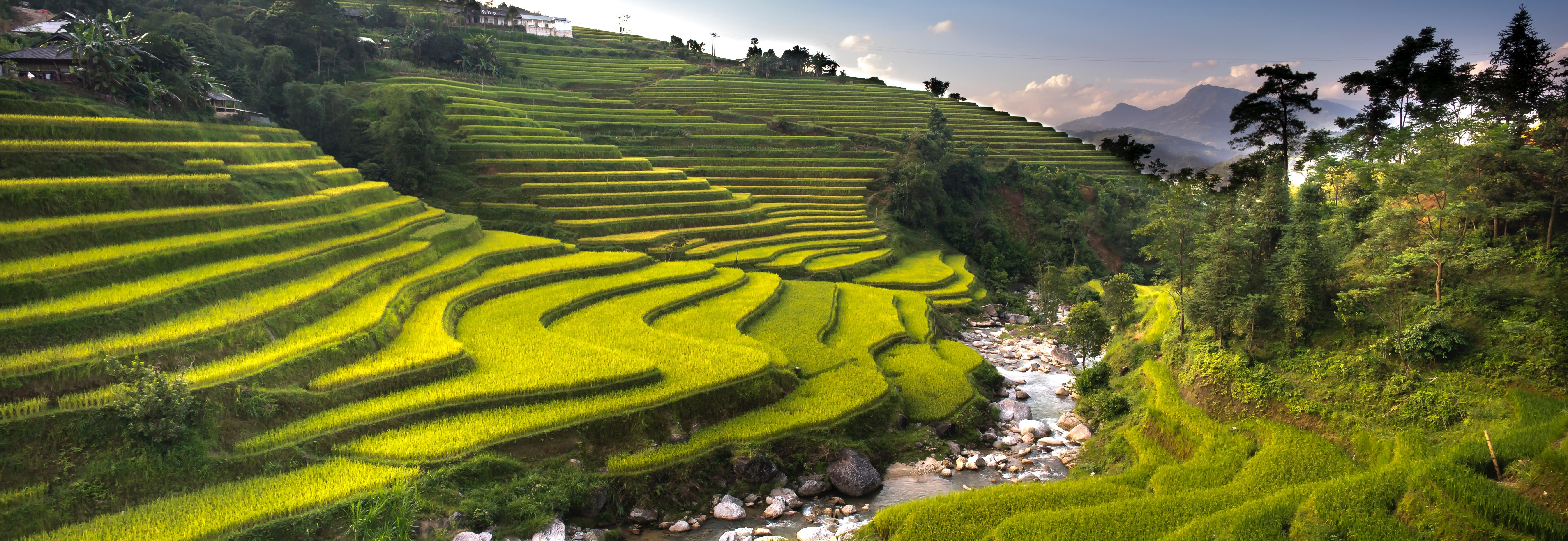 Landscape scene with a river flowing in the centre of the image through hilly rice fields with mountains in the distance and a bright blue sky with a few low clouds