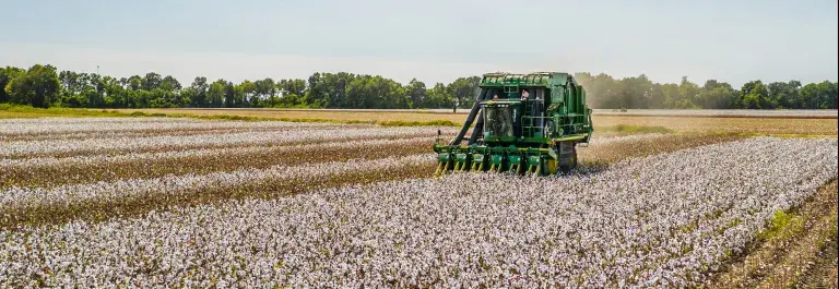 Combine harvester cotton farming © Unsplash