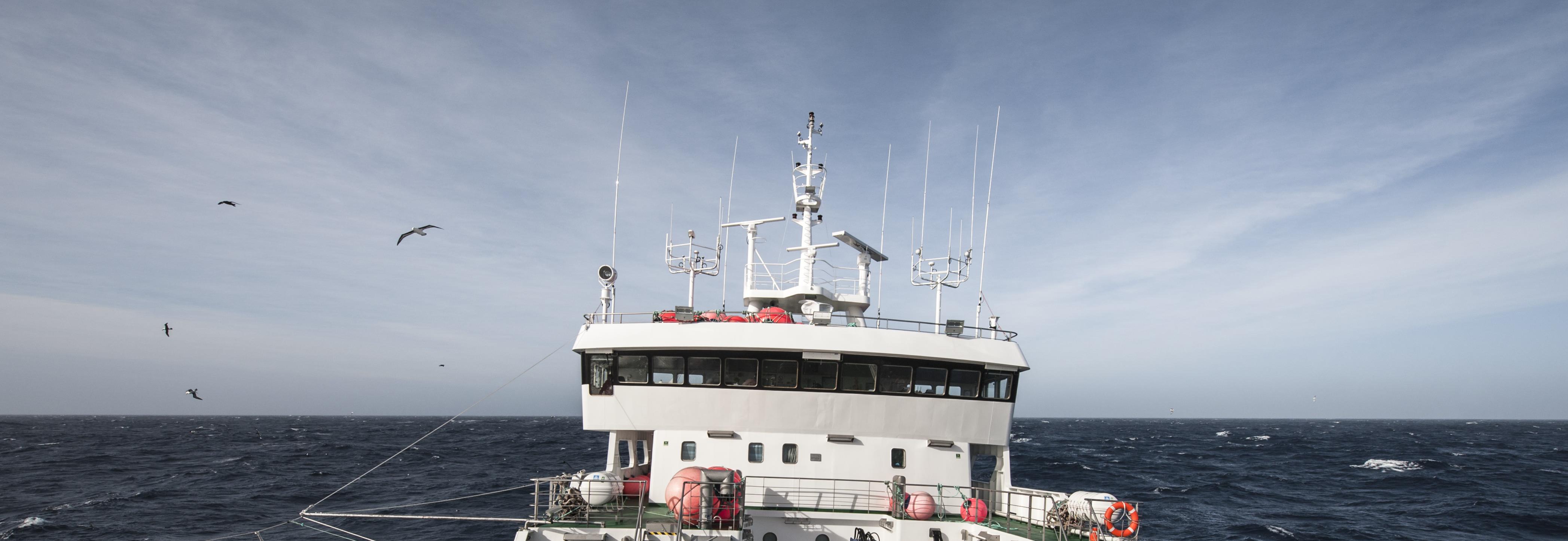 Toothfish © Tony Fitzsimmons for MSC