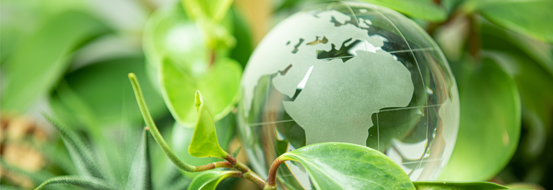 Green Earth