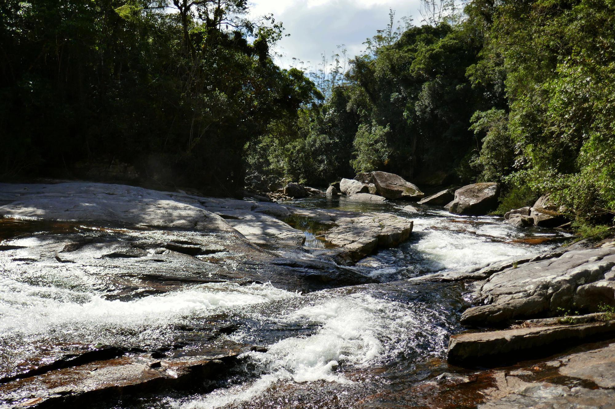 Parque das Neblinas