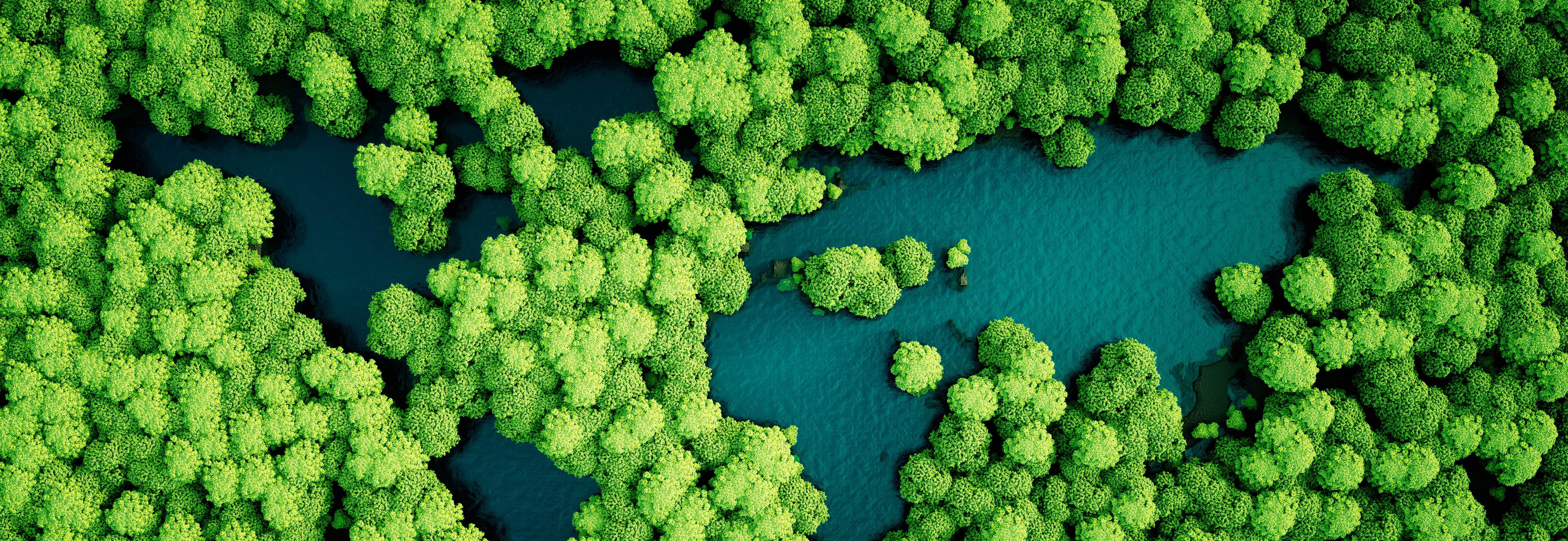 Rainforest lakes in shape of world continents