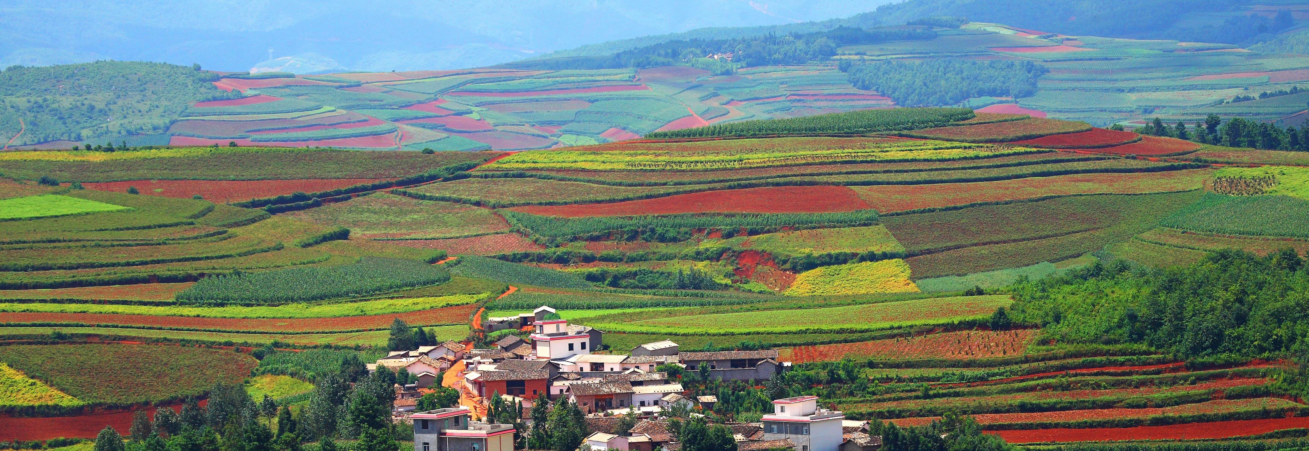Village surrounded by fields © Adobe 