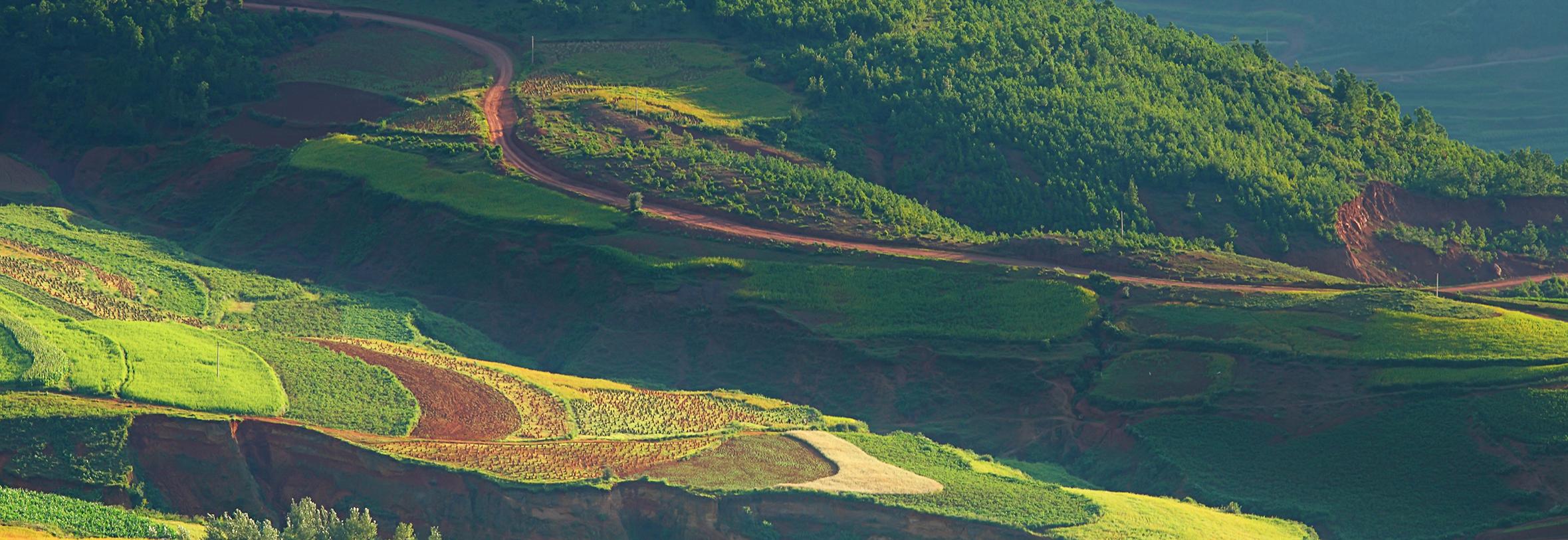 Landscape fields