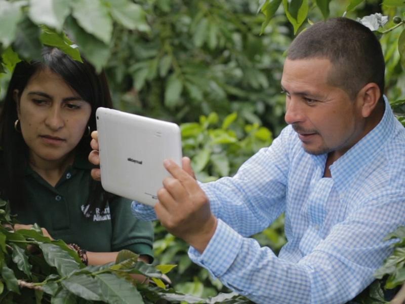 Farmer Training App © Rainforest Alliance