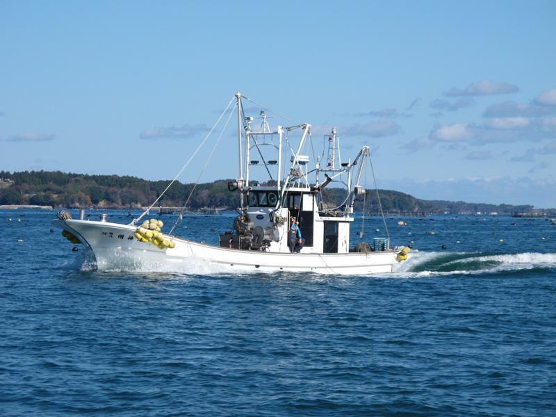 Fishing boat MSC