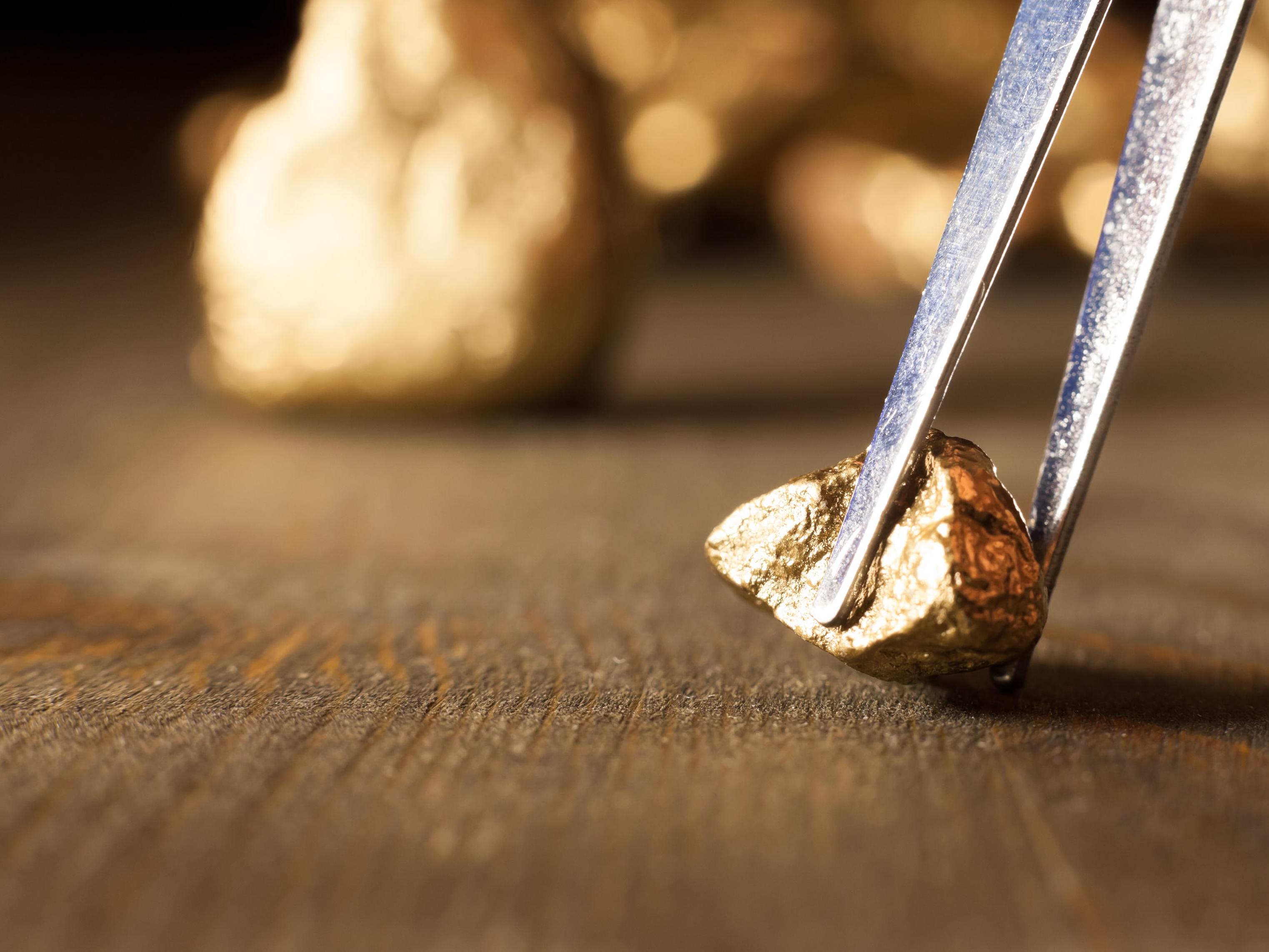 Gold ore held in tweezers © aerogondo, Adobe stock