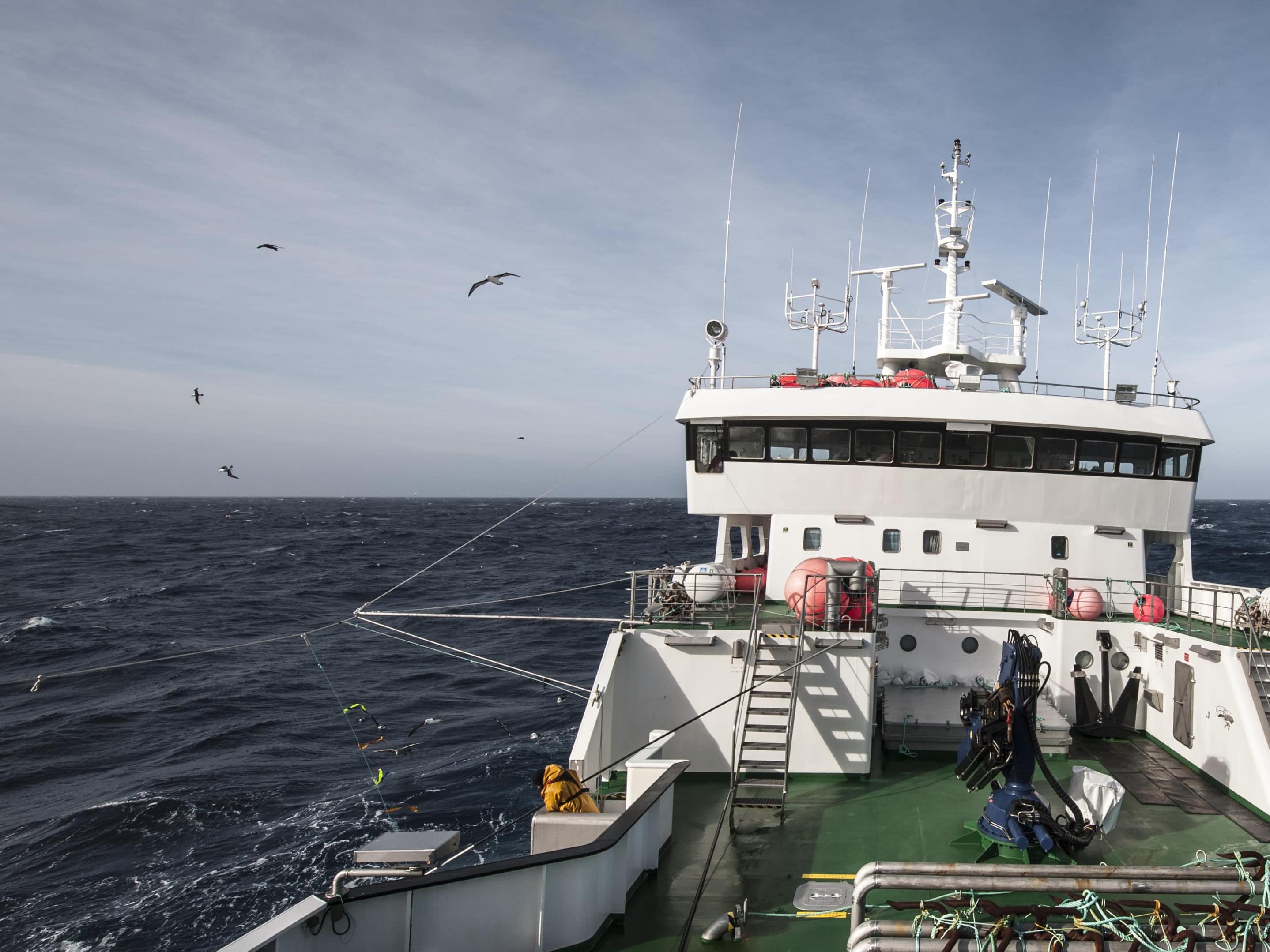 Toothfish © Tony Fitzsimmons for MSC