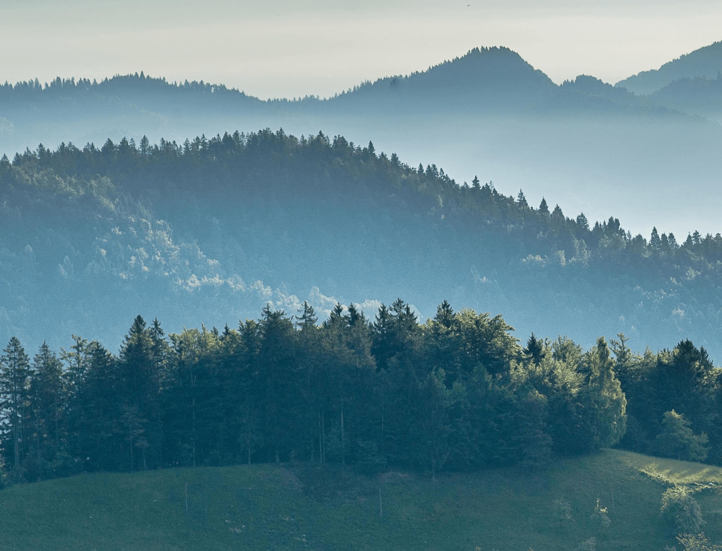 Mountains in mist