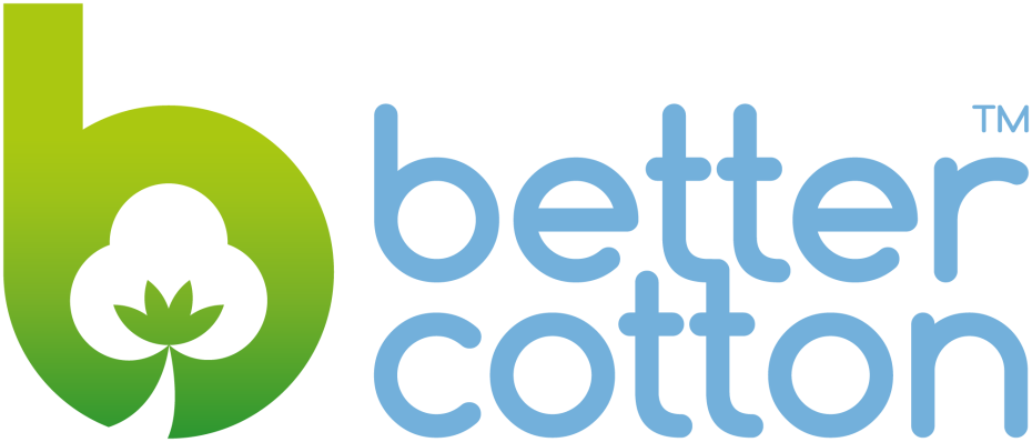 BCI Logo