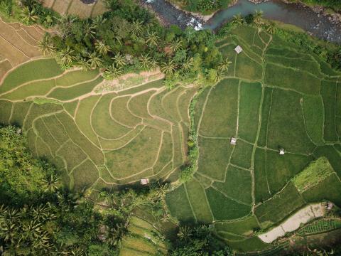 Aerial image of green landscape 