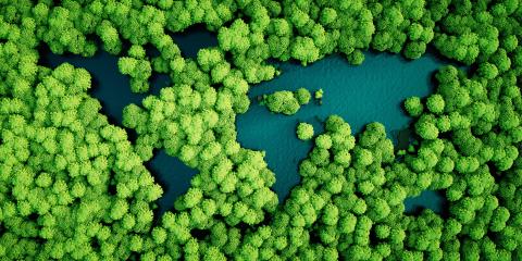 Rainforest lakes in shape of world continents