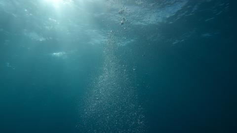 under the ocean view 