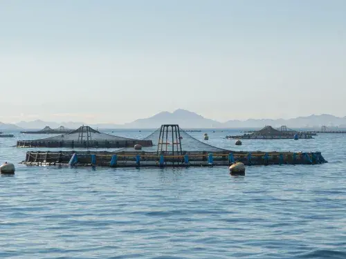 Aquaculture farm on a calm sea with mountains in the distance