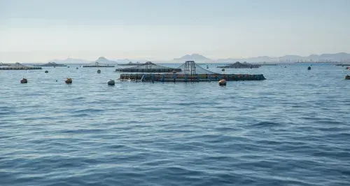 Aquaculture farm on a calm sea with mountain backdrop